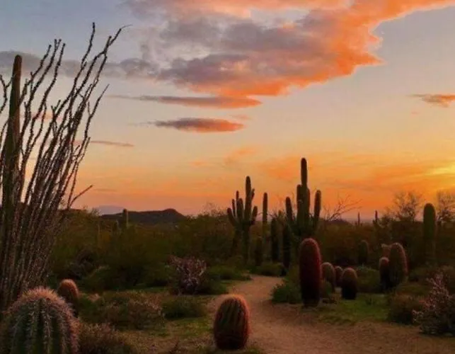 Dom wakacyjny Casa Terravita Scottsdale